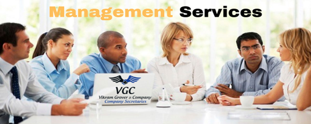 Management Services
